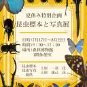 【7/17～8/22】夏休み特別企画「昆虫標本と写真展」