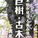 【4/16～6/5】樹木医が見守る青森県の巨樹・古木写真展