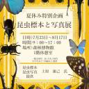 【7/23～8/17】夏休み特別企画「昆虫標本と写真展」